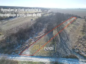 Prodej pozemku, Ostrožská Nová Ves, 982 m2