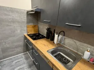 Prodej bytu 2+kk, Most, K. J. Erbena, 43 m2