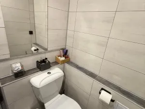 Prodej bytu 2+kk, Most, K. J. Erbena, 43 m2