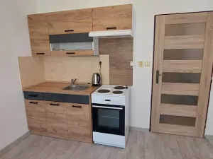 Pronájem bytu 1+kk, Rožnov pod Radhoštěm, Lesní, 21 m2