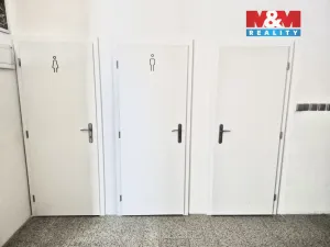 Pronájem obchodního prostoru, Louny, Říční, 216 m2