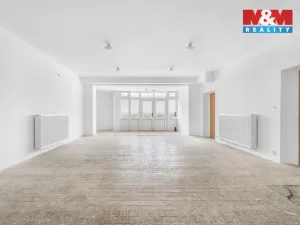 Prodej ubytování, Borušov - Svojanov, 1890 m2