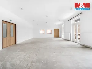 Prodej ubytování, Borušov - Svojanov, 1890 m2