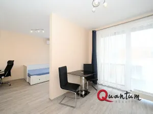 Pronájem bytu 1+kk, Praha - Žižkov, Olgy Havlové, 38 m2