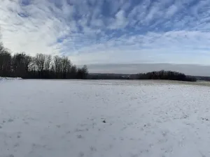 Prodej louky, Bruzovice, 94427 m2