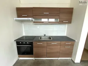 Pronájem bytu 1+1, Chlumec - Hrbovice, Klidná, 34 m2