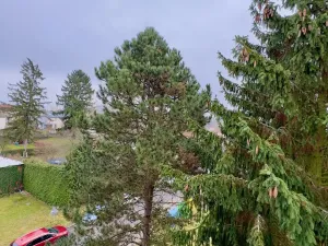 Pronájem bytu 2+1, Česká Lípa, Bendlova, 52 m2