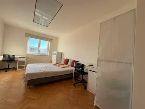 Prodej bytu 2+1, Olomouc, Jiříčkova, 52 m2