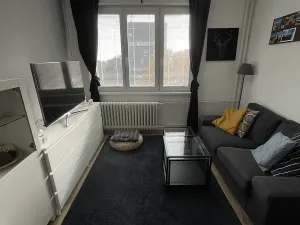 Pronájem bytu 1+1, Ostrava, Opavská, 35 m2