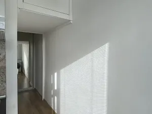 Pronájem bytu 1+1, Ostrava, Opavská, 35 m2