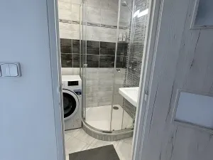 Pronájem bytu 1+1, Ostrava, Opavská, 35 m2