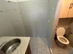 Pronájem obchodního prostoru, Praha - Vršovice, V olšinách, 41 m2