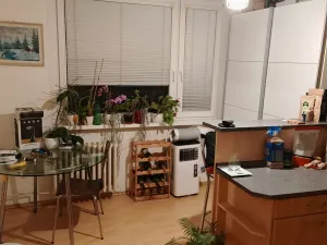 Pronájem bytu 1+1, Liberec, Broumovská, 36 m2