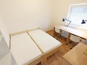 Pronájem bytu 1+kk, Brno - Zábrdovice, Cejl, 10 m2