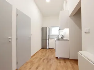 Pronájem bytu 1+kk, Brno - Zábrdovice, Cejl, 10 m2