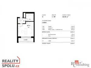 Pronájem bytu 1+kk, Plzeň - Jižní Předměstí, Železná, 43 m2