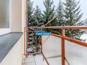 Pronájem bytu 3+1, Skrbeň, Hlavní, 70 m2