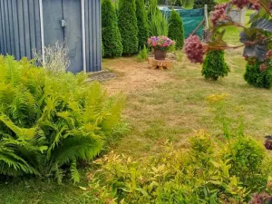 Prodej bytu 3+1, Slezské Pavlovice, 76 m2