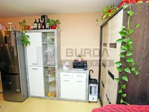 Pronájem bytu 1+1, Neratovice, 28 m2