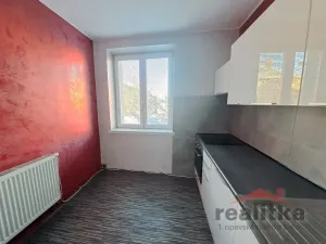 Pronájem bytu 1+1, Opava - Předměstí, Těšínská, 38 m2