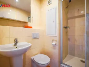 Prodej bytu 1+1, Přerov - Přerov I-Město, Velká Dlážka, 30 m2