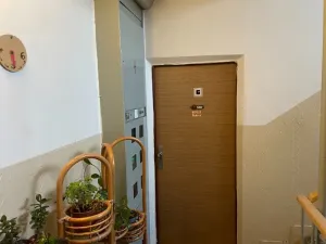 Dražba bytu 2+1, Třemošná, Šeříková, 60 m2