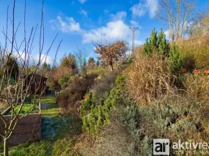 Prodej zahrady, Letovice - Třebětín, 680 m2