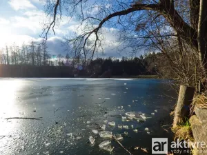 Prodej zahrady, Letovice - Třebětín, 680 m2