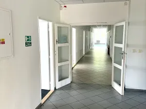 Pronájem kanceláře, Praha - Žižkov, U zásobní zahrady, 476 m2