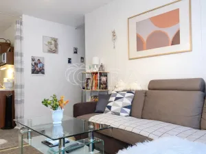 Prodej bytu 2+kk, Rožmitál pod Třemšínem, Sídliště, 45 m2