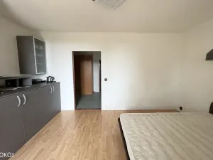 Pronájem pokoje, Brno, Arménská, 18 m2