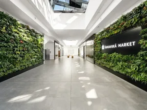 Pronájem kanceláře, Brno, Šumavská, 274 m2