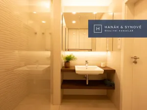 Pronájem bytu 1+kk, Brno, Koliště, 22 m2