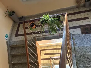 Prodej bytu 3+1, Čestice - Doubravice u Volyně, 91 m2