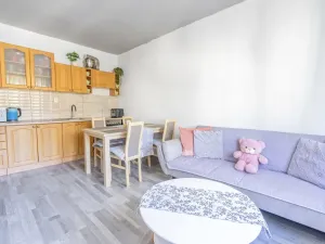 Prodej bytu 2+kk, Trutnov - Dolní Staré Město, Horská, 42 m2