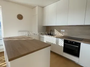 Pronájem bytu 4+kk, České Budějovice - České Budějovice 2, Branišovská, 103 m2