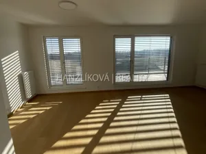 Pronájem bytu 4+kk, České Budějovice - České Budějovice 2, Branišovská, 103 m2