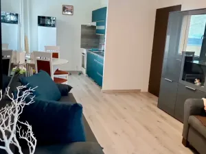 Pronájem bytu 2+kk, Bílina, Tylova, 40 m2