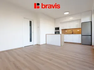 Pronájem bytu 1+kk, Brno - Staré Brno, Rybářská, 33 m2