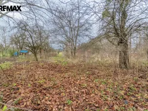 Prodej rodinného domu, Vrchotovy Janovice, 435 m2