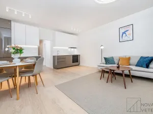 Prodej bytu 4+kk, Praha - Žižkov, Křivá, 100 m2