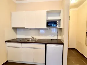Pronájem bytu 1+kk, Karlovy Vary, Divadelní, 30 m2