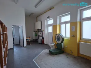 Pronájem restaurace, Žandov, Náměstí, 200 m2