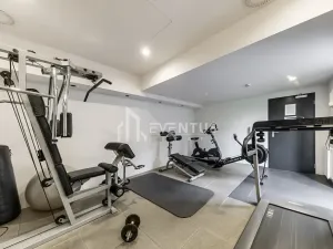 Pronájem bytu 2+kk, Praha - Holešovice, Sanderova, 58 m2