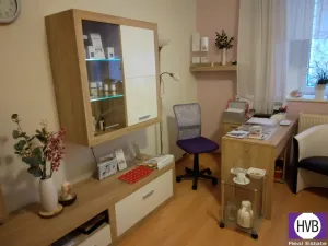 Pronájem komerční nemovitosti, Praha, Andrštova, 25 m2