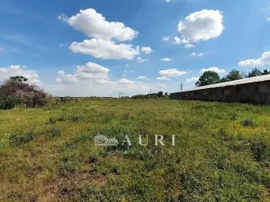 Prodej skladu, Zvoleněves, 7650 m2