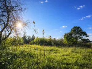 Prodej pozemku, Praha, 1096 m2