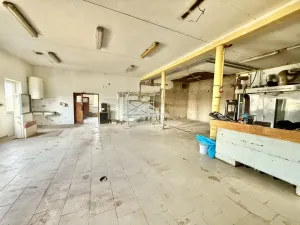 Pronájem výrobních prostor, Havlíčkův Brod - Termesivy, 272 m2