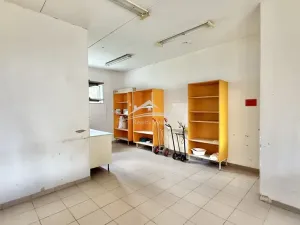 Pronájem výrobních prostor, Havlíčkův Brod - Termesivy, 272 m2