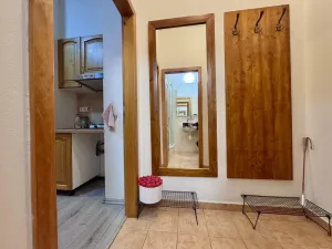 Pronájem bytu 1+kk, Praha - Vršovice, Donská, 30 m2